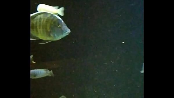 Banheiro restaurante