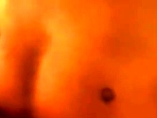 BEARS IN HAVE FUN HOTEL