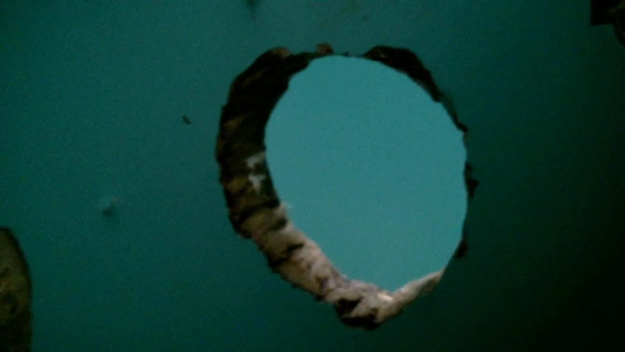 Fun at a local glory hole