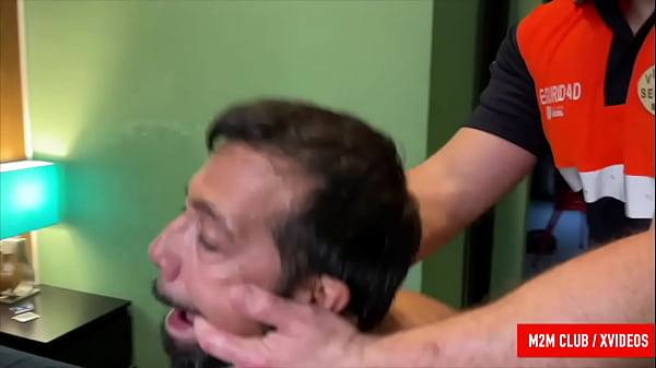 Osos Españoles cogiendo a pelo